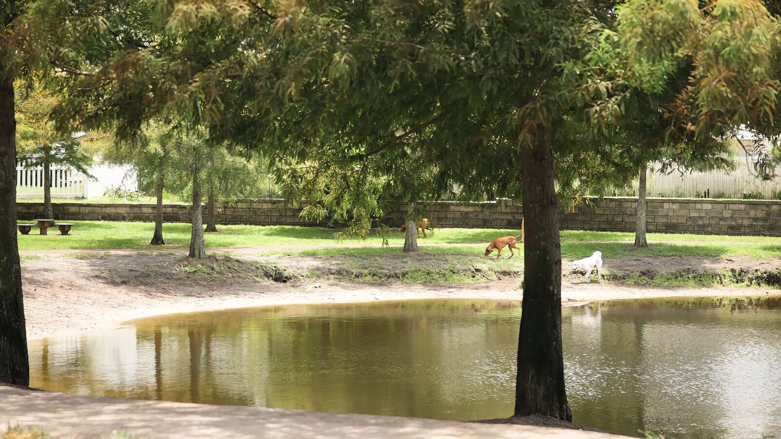 Atlantic Beach Dog Park