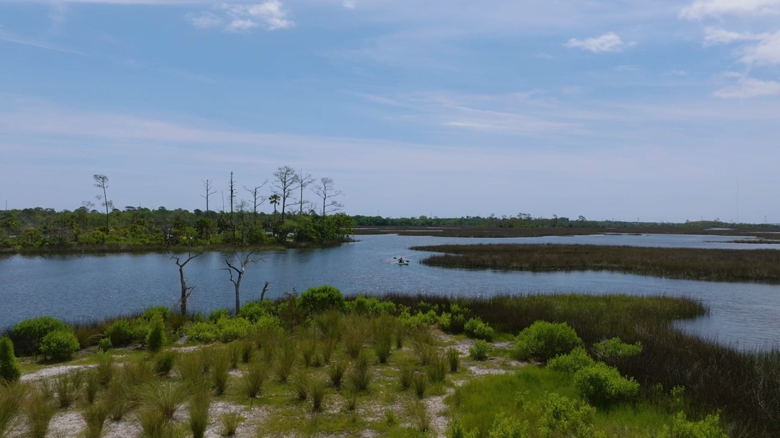 Dutton Island Preserve near Mayport, Jacksonville